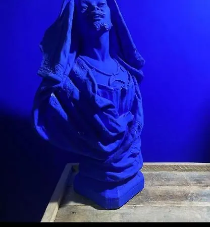 D'hôtes Le Regent Alojamento de Acomodação e Pequeno-almoço 3*